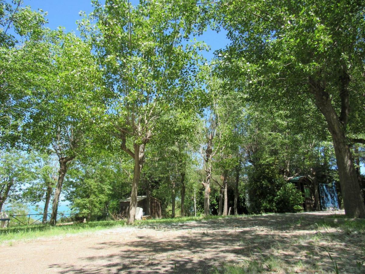 Camping Torre Mucchia Ортона Экстерьер фото